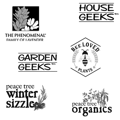 Our Programs