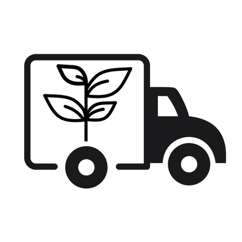 Shipping & Delivery