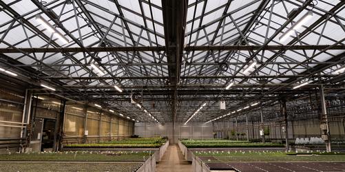 Sustainable Water Use at Peace Tree Farm