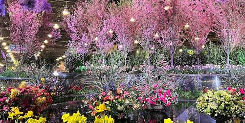 The Philadelphia Flower Show & Peace Tree Farm
