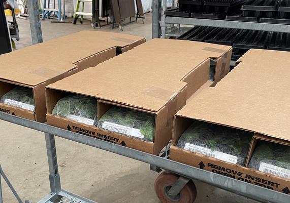 Shipping - 102TrayBox