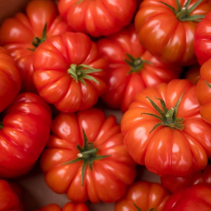 Solanum lycopersicon Buffalosteak
