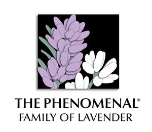 The Phenomenal® Family of Lavender