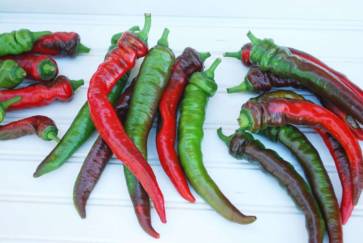 Pepper 'Jimmy Nardello' Peace Tree Farm