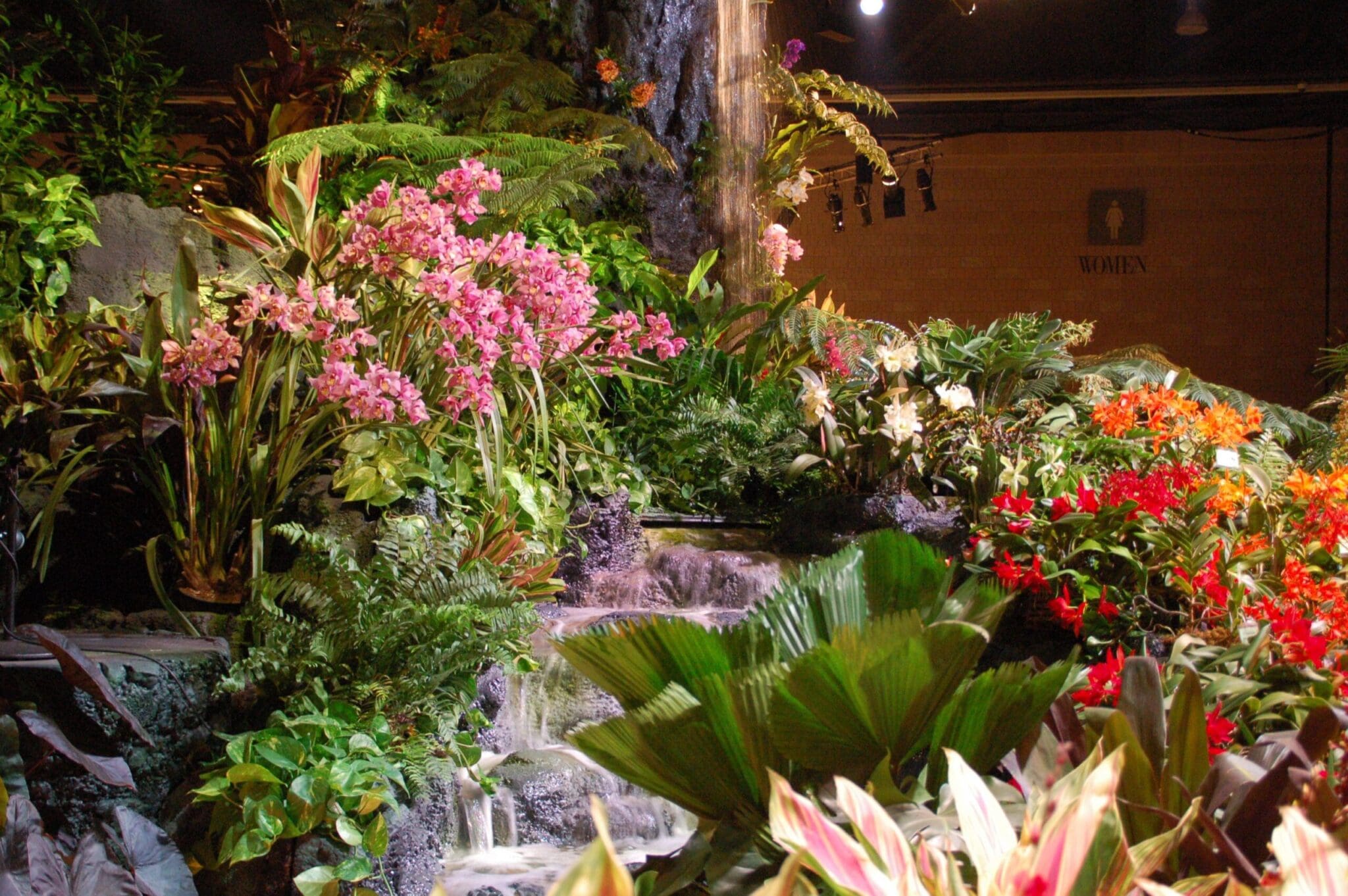 The Philadelphia Flower Show & Peace Tree Farm